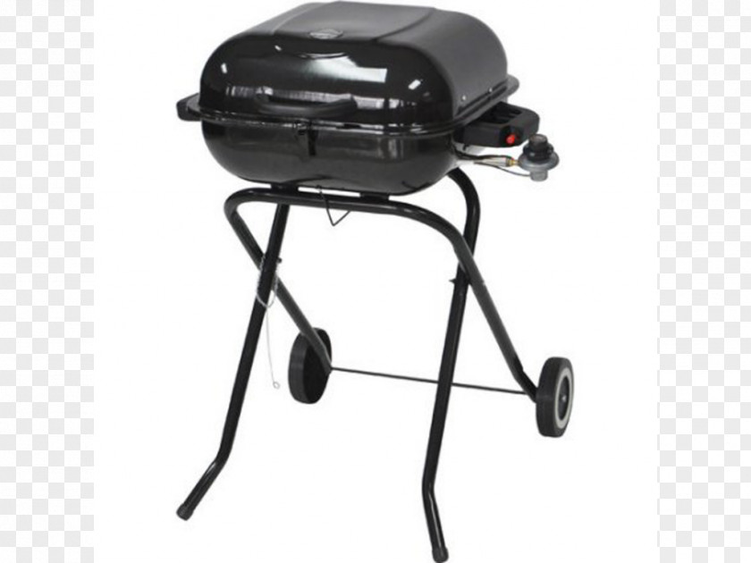 Outdoor Grill Barbecue Portable Stove Propane Cooking Ranges Grilling PNG