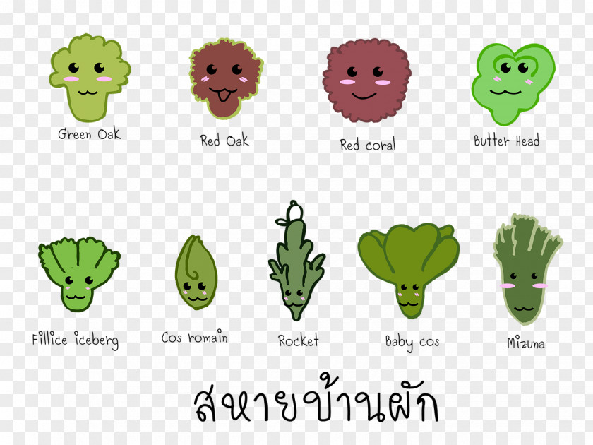 Amphibian Clip Art Green Product Tree PNG