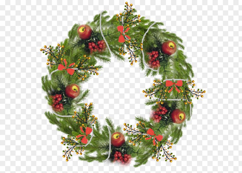 Christmas Ornament Wreath Pine Family PNG