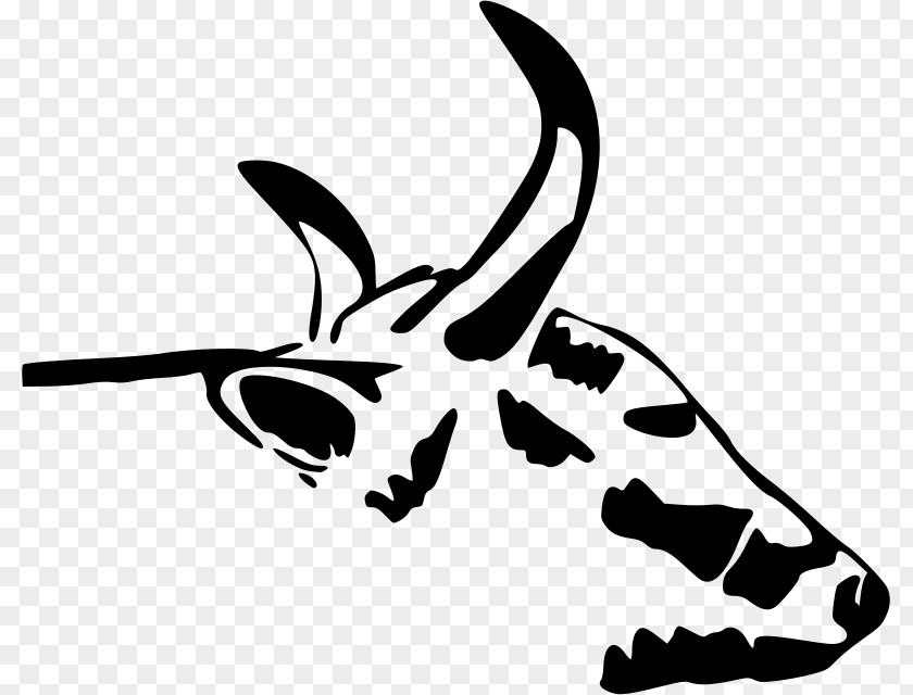 Cow Head Highland Cattle Beef Clip Art PNG