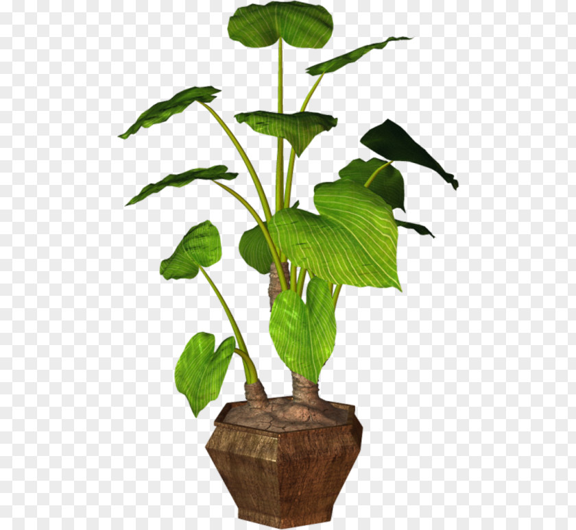 Leaf Flowerpot Houseplant Clip Art Plants PNG