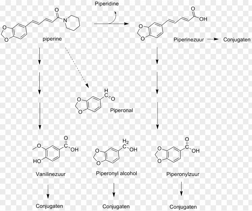 Metabolism Piperine Glucuronidation Glucuronic Acid Glucuronosyltransferase Biotransformation PNG
