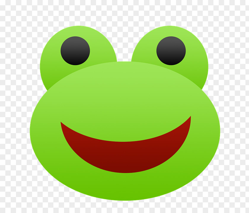 Frog Morocco Tree Smile Image PNG