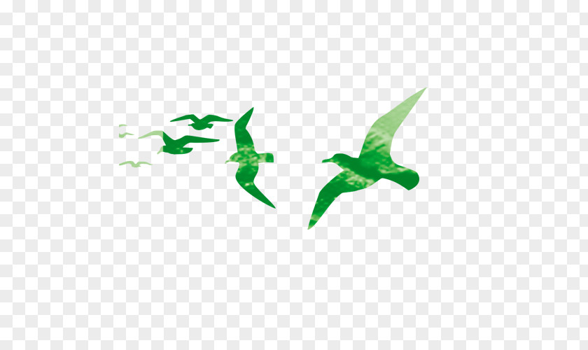 Green Birds Hummingbird Download PNG