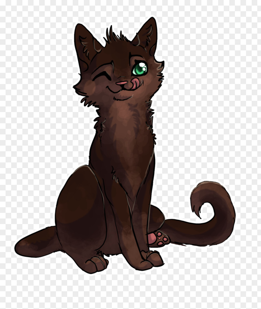 Kitten Whiskers Havana Brown Domestic Short-haired Cat Black PNG