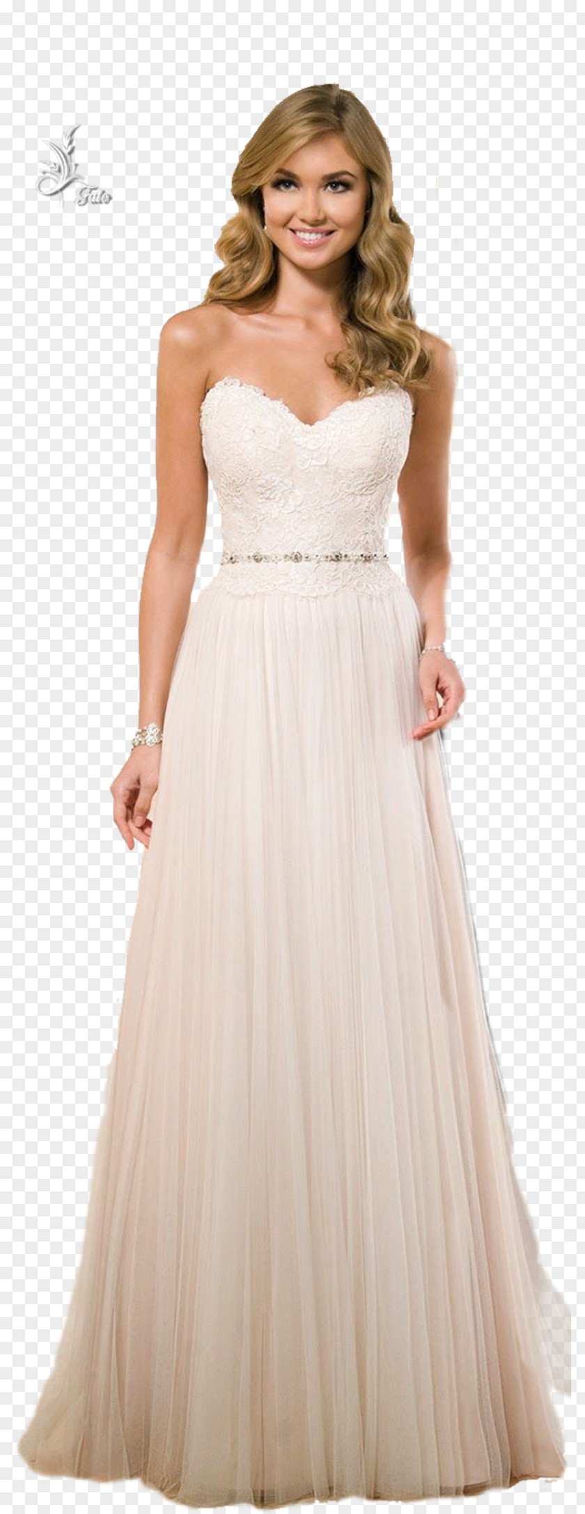 Bride Sophia Tolli Wedding Dress Gown PNG