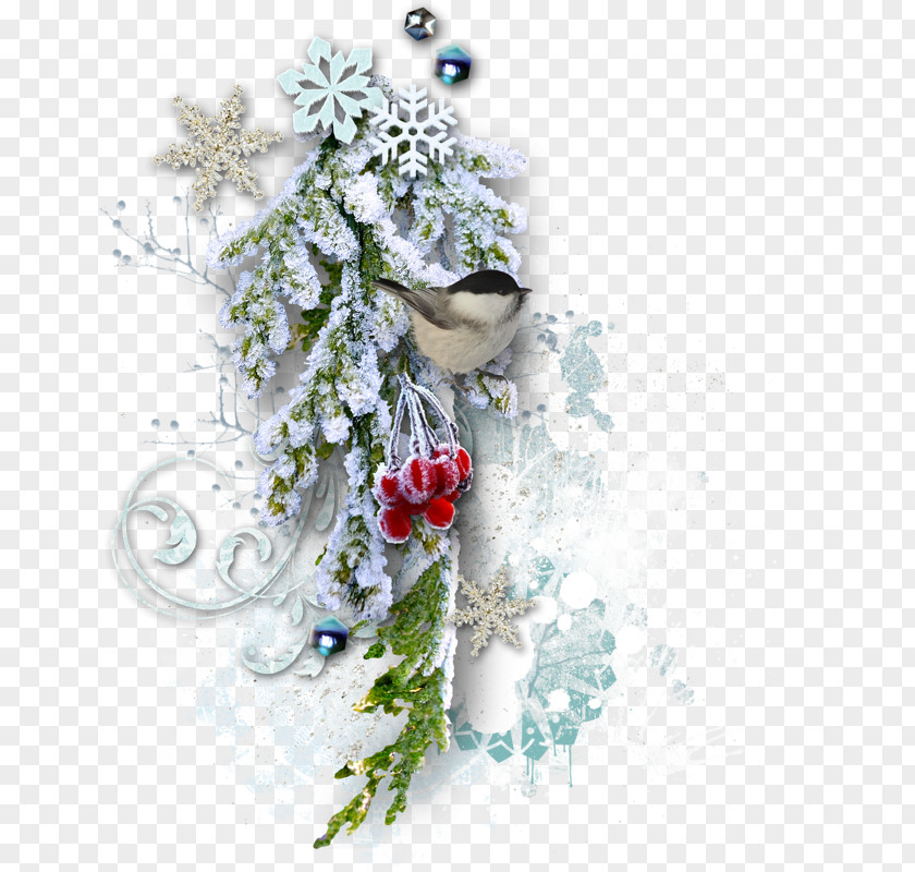 Christmas Snow Picture Frame New Year PNG