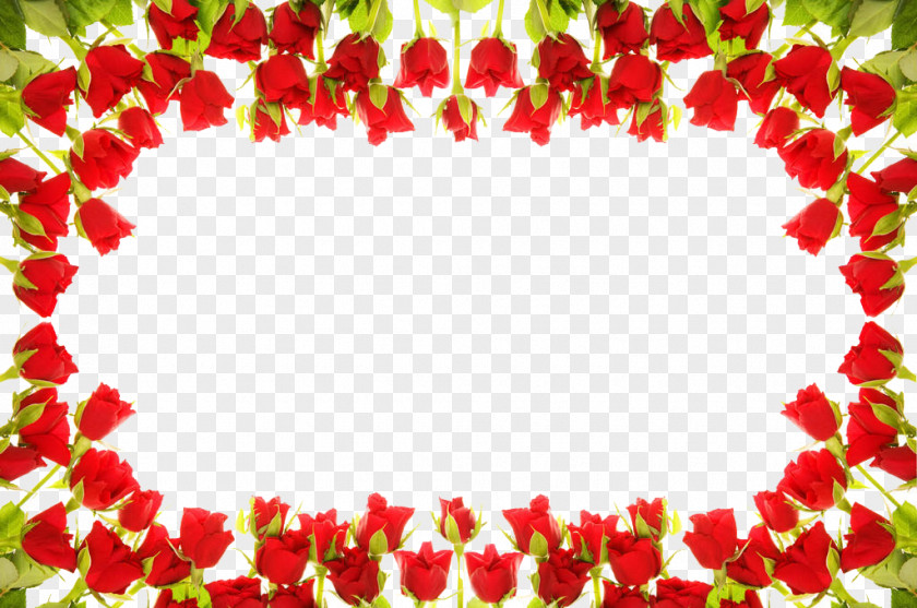 Circle Flower Picture Frame Download Stock Photography PNG