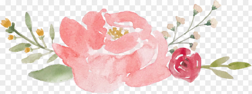 Pink Blooms Floral Design Rose Flower PNG