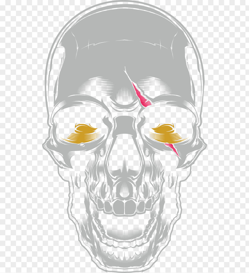 Vector Horror Marrow Head Visual Arts Skull Illustration PNG