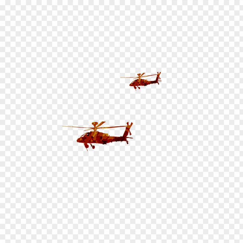 Colorful Decorative Helicopter Insect Membrane Pattern PNG