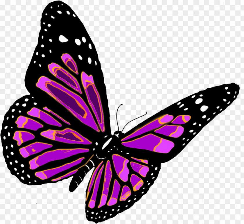 Flying Butterfly Image Clip Art PNG