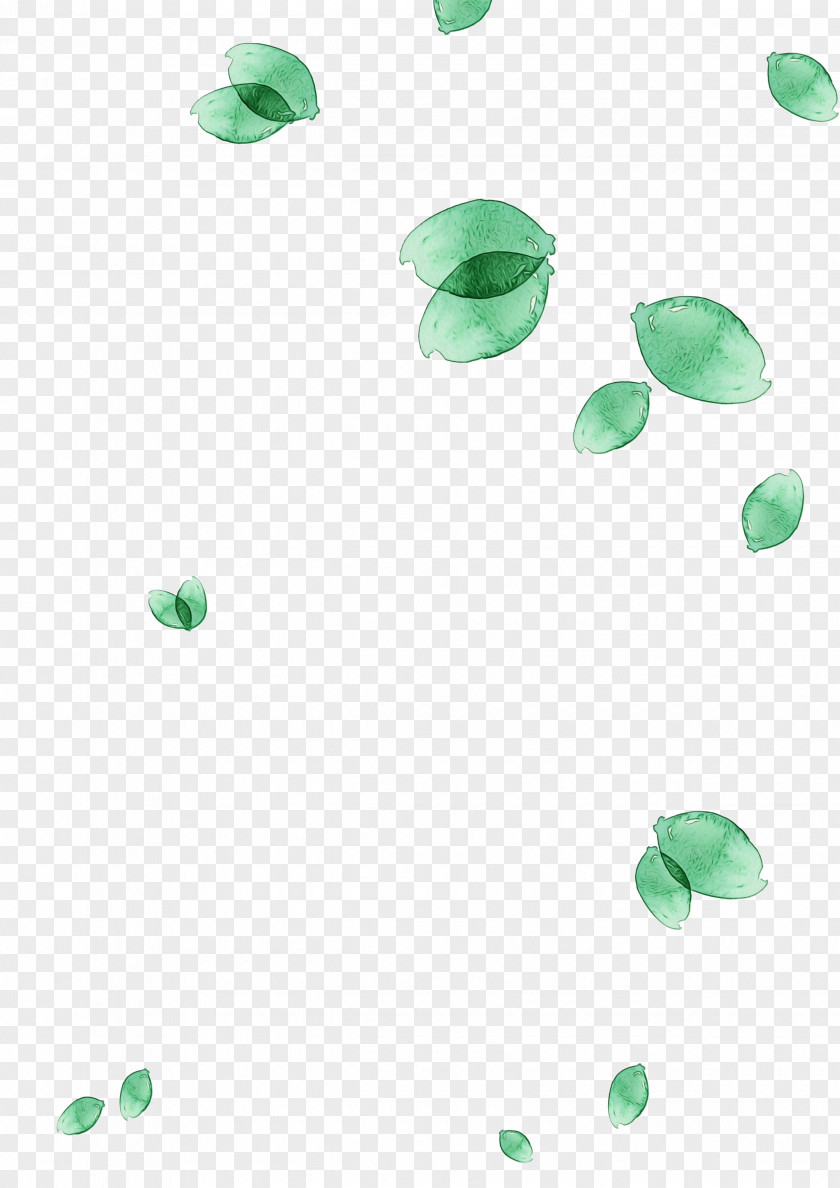 Leaf Green Pattern PNG