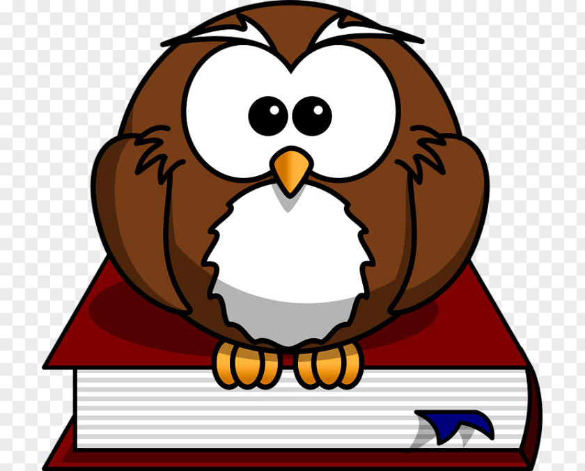 Owl Clip Art Animated Cartoon Image PNG
