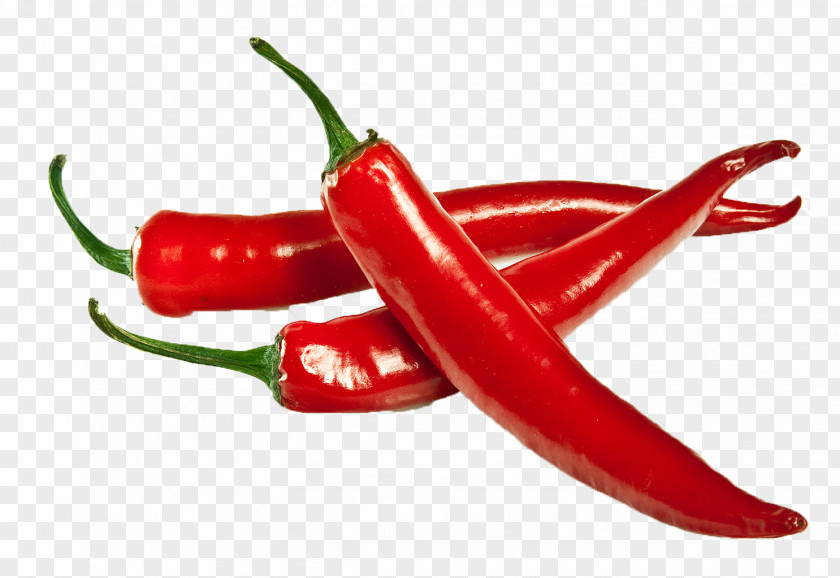 Red Chilli Chutney Chili Pepper Indian Cuisine Powder Spice PNG