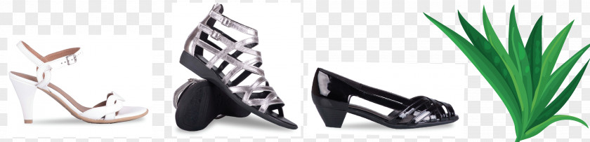 Ankle Strap Kitten Heel Shoes For Women Product Design Leaf Shoe Font PNG