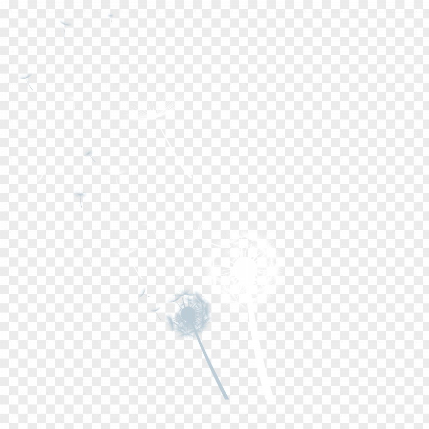 Dandelion Material Vector White Symmetry Black Angle Pattern PNG