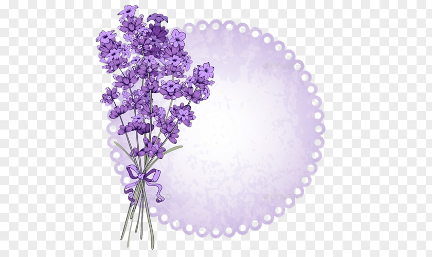 Lawenda Lavender Clip Art Vector Graphics Flower Illustration PNG