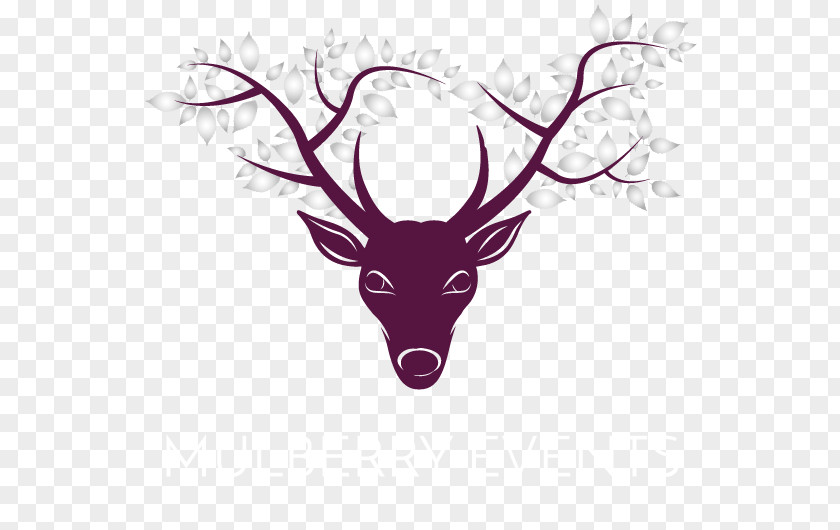 Mulberry Reindeer Events Antler Keymer Buildings Victoria Road PNG