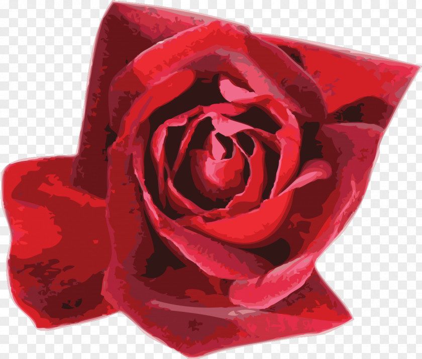 Red Rose Garden Roses Tux Paint Web Browser Flower PNG
