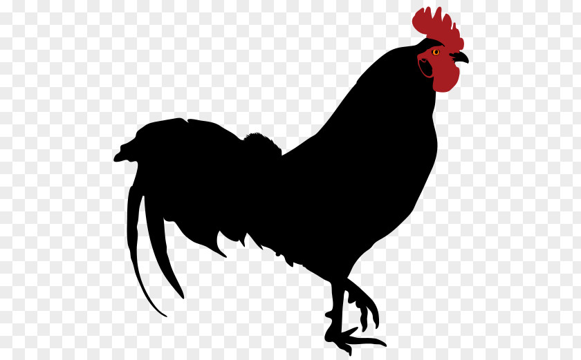Silhouette Rooster Drawing Clip Art PNG