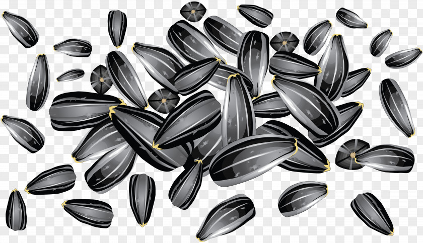Sunflower Oil Seed Common PNG