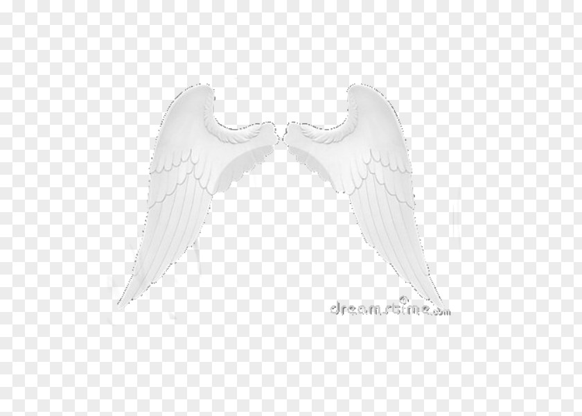 Angels Bird Monochrome Photography Black And White PNG