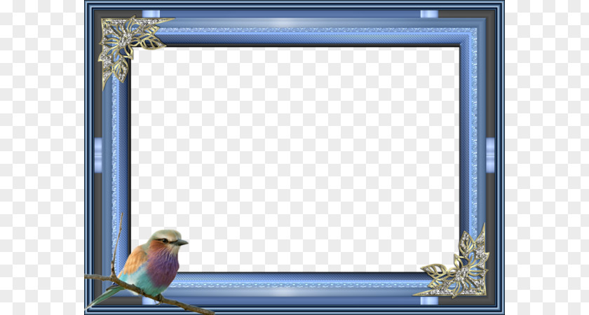 Blue Bird Border Picture Frame Photography PNG