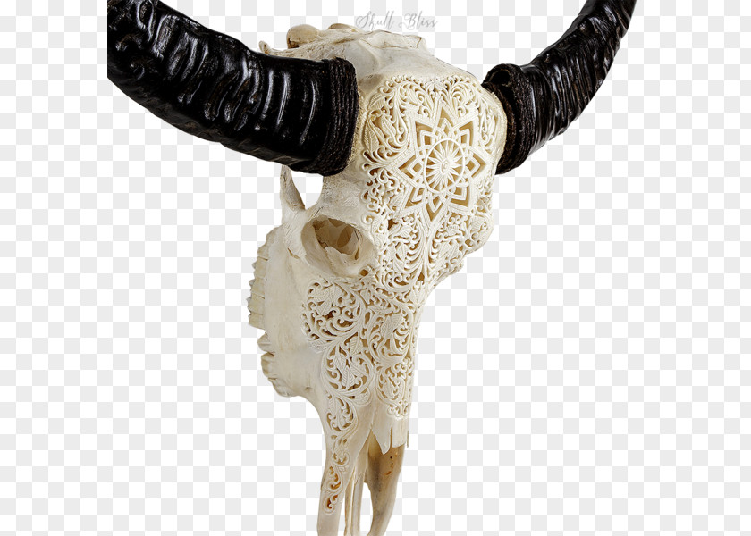 Buffalo Skull Mandala The World Within Our Minds Cattle XL Horns PNG