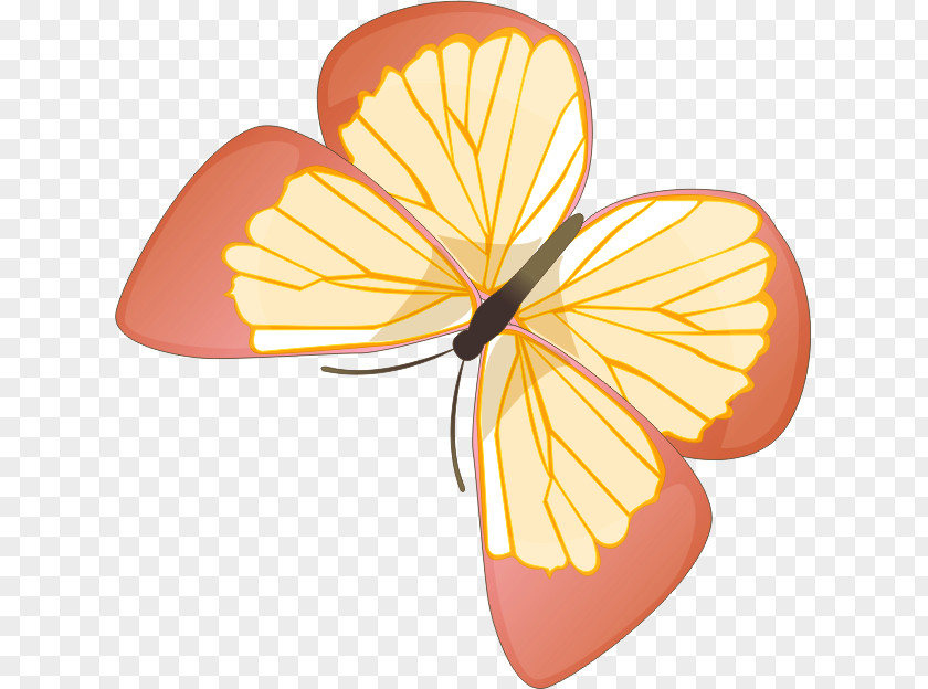 Butterfly Monarch Greta Oto Clip Art PNG