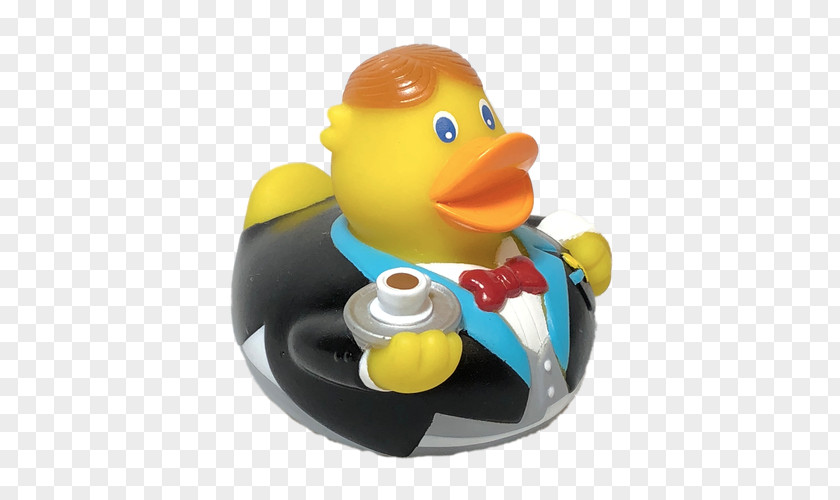 Duck Rubber Plastic Natural Tray PNG