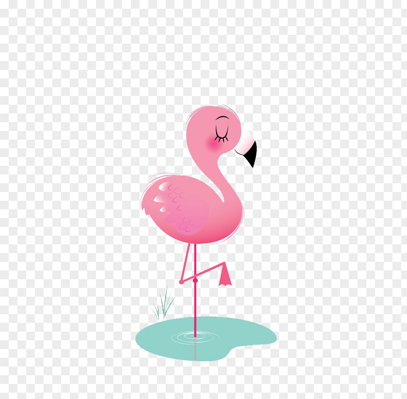 Flamingos Bird Animation Icon PNG