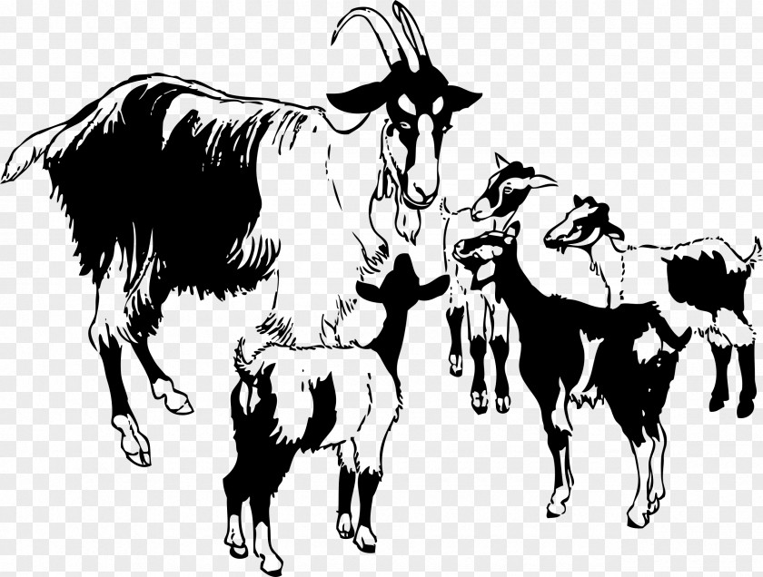 Grazing Goats Black Bengal Goat Boer Sheep Clip Art PNG