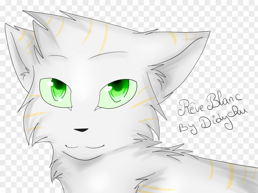 Kitten Whiskers Cat Sketch PNG