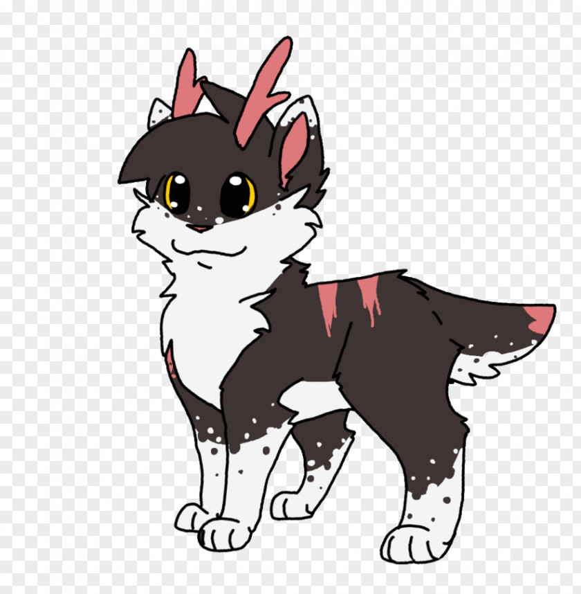 Kitten Whiskers Dog Cat Paw PNG