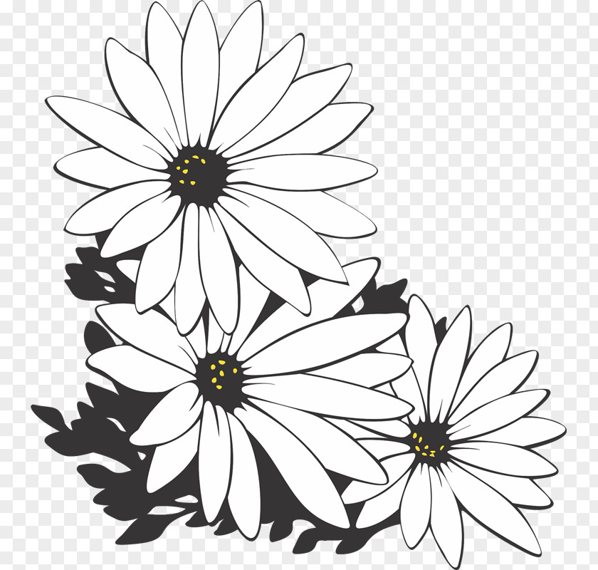 Lf Floral Design Flower PhotoScape PNG