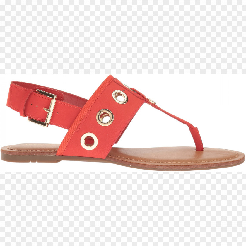 Sandal Slide Shoe PNG