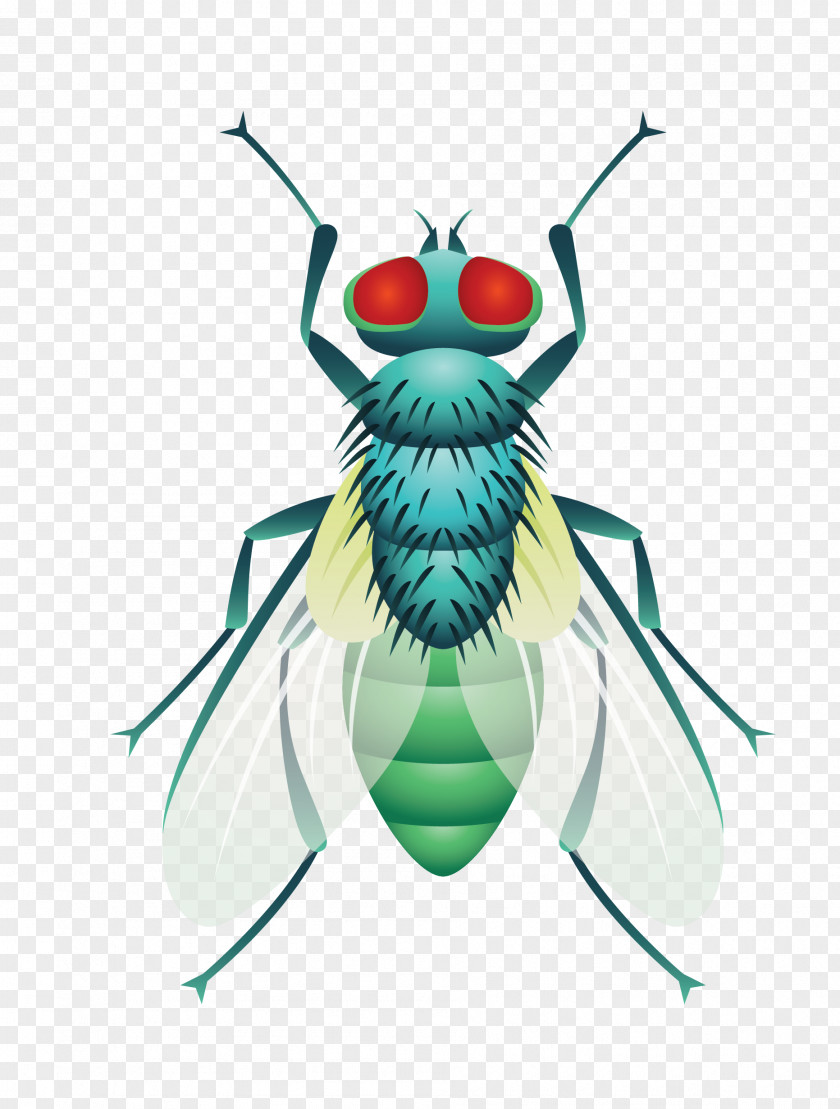 Vector Green Lifelike Insect Flies Beetle Cockroach Fly PNG