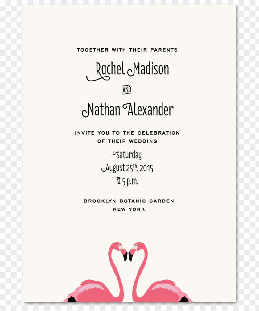 Wedding Wording Invitation Convite Bridegroom PNG