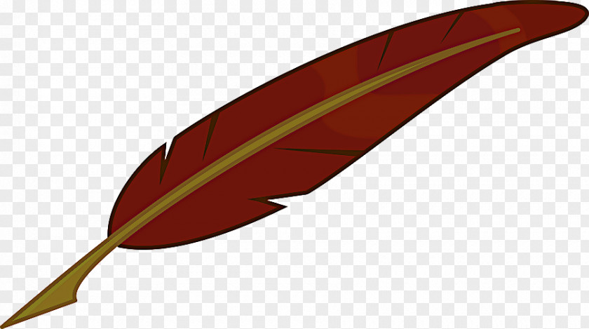 Wing Plant Feather PNG