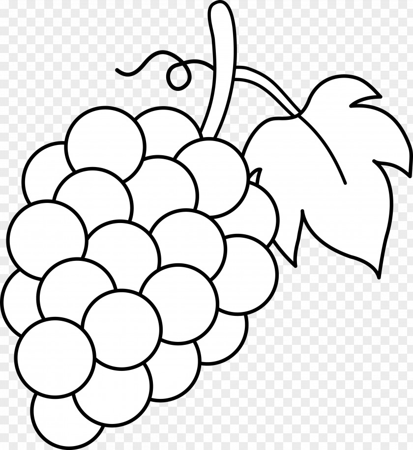 Artichokes Common Grape Vine Wine Drawing Clip Art PNG