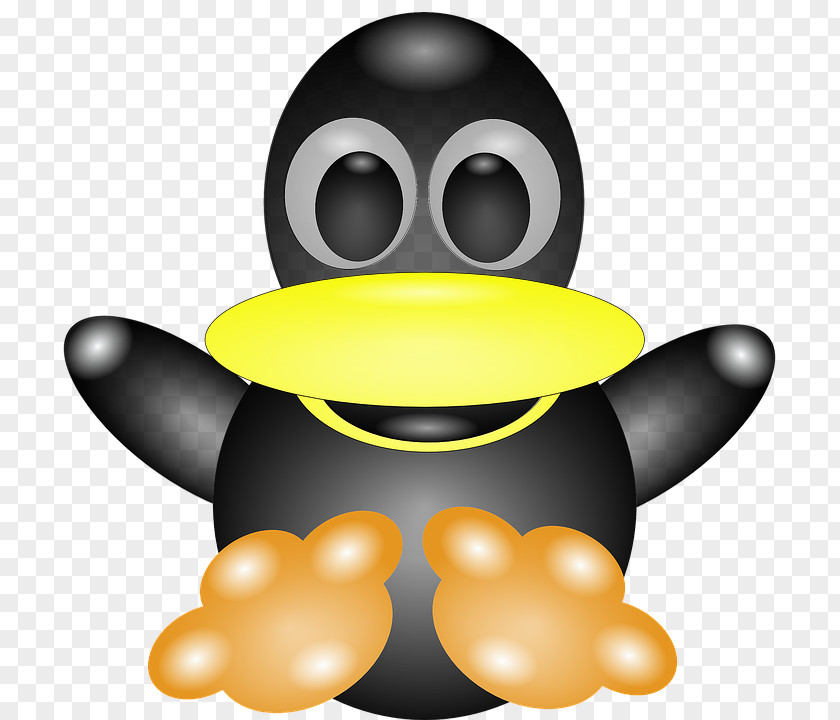 Cartoon Penguin Clip Art PNG