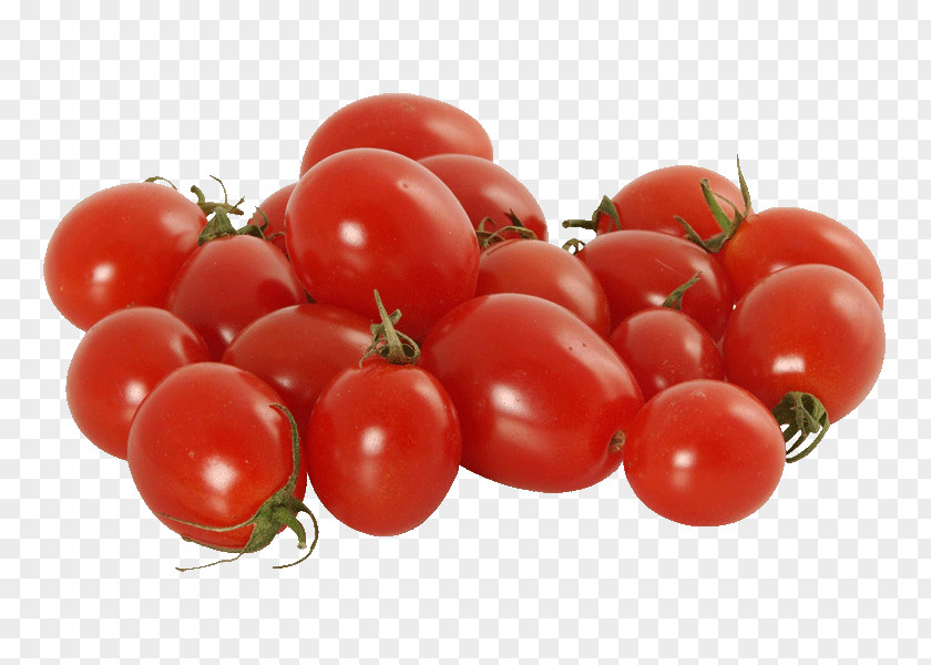 Cherry Plum Tomato Bush Organic Food PNG