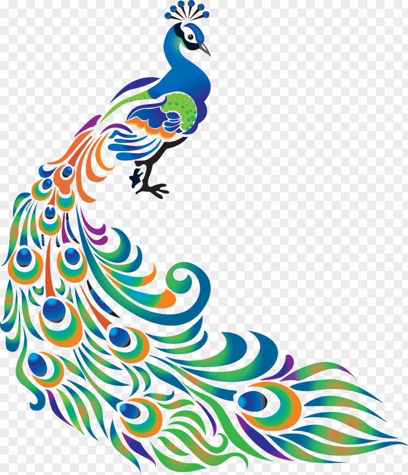 Peacock Drawing Peafowl Art Clip PNG