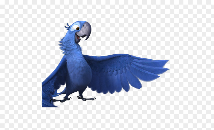 Rio2 Blu 2 Macaw Parrot Bird Cobalt Blue Perico PNG