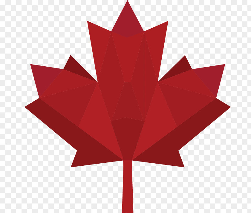 American Sweetgum Leaf Flag Of Canada Maple Clip Art Vector Graphics PNG