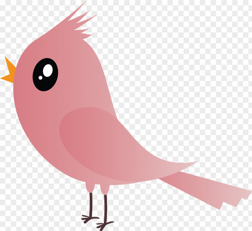 Bird Pink Beak Cartoon Tail PNG