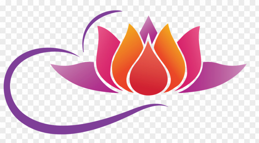 Flower Nelumbo Nucifera Lotus Position Logo PNG