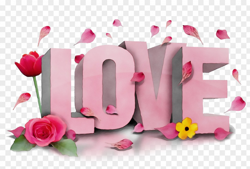 Flower Plant Pink Text Font Petal PNG