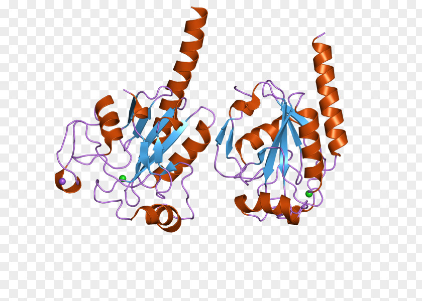 GPX3 Glutathione Peroxidase Gene Enzyme GPX4 PNG